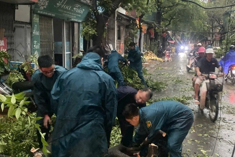 Hà Nội: khắc phục ngay tình trạng cây xanh gãy, đổ do ảnh hưởng của trận giông, lốc