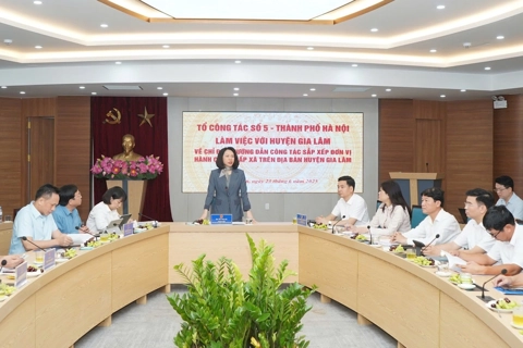 Lãnh đạo UBND TP Hà Nội làm việc với huyện Gia Lâm về sắp xếp đơn vị hành chính cấp xã