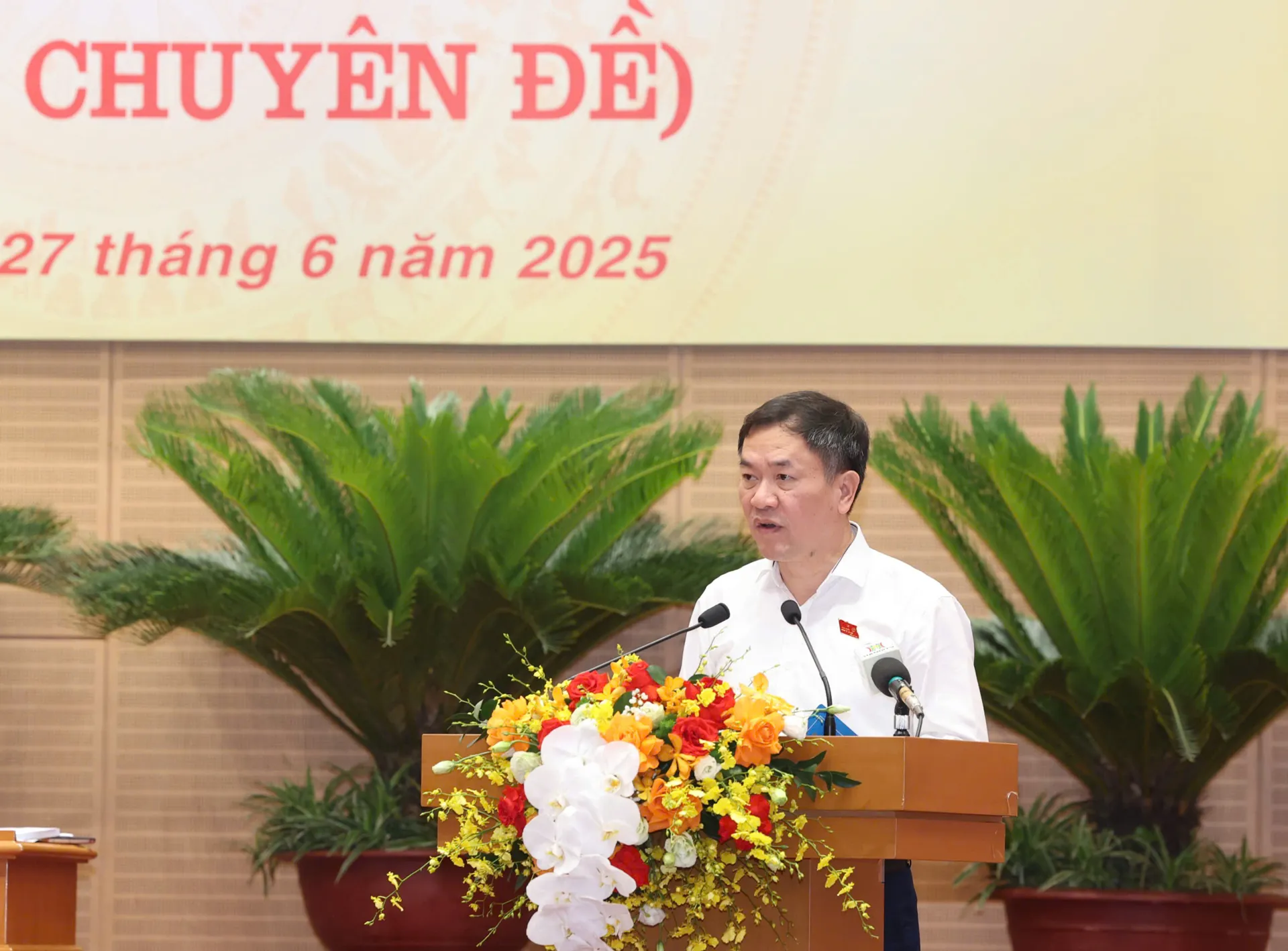 Hình ảnh 2