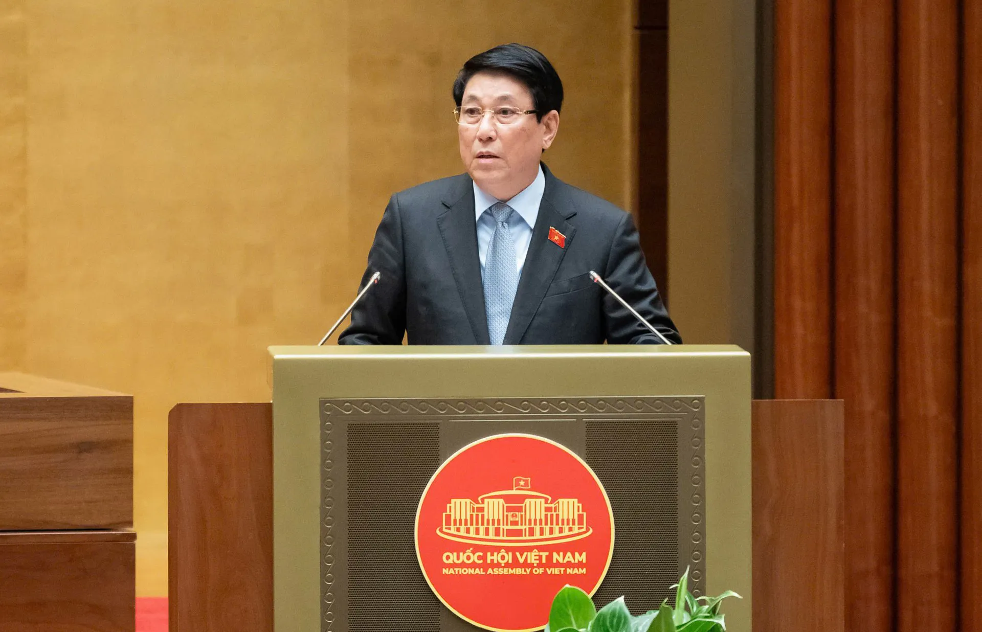 Hình ảnh 1