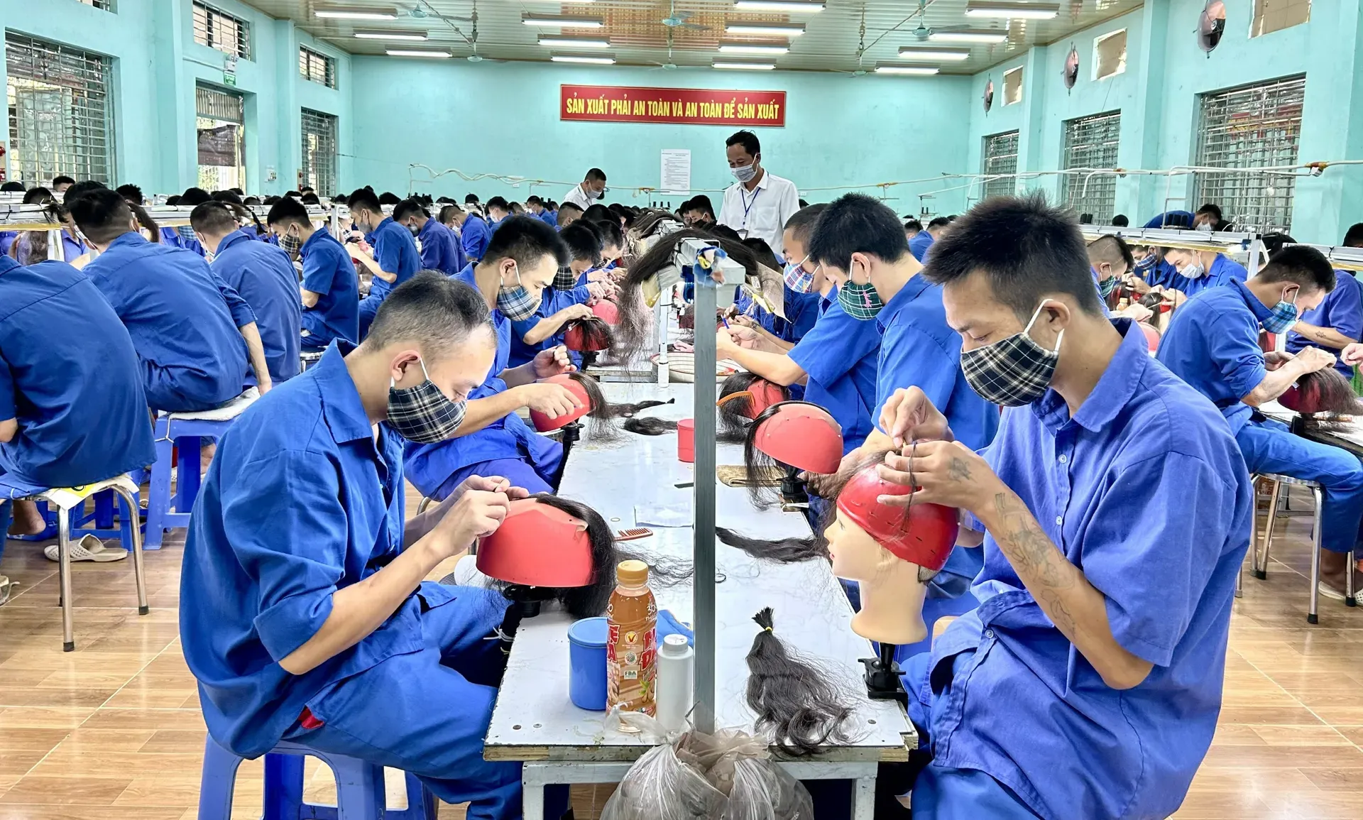 Hình ảnh 1