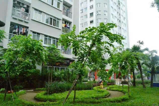 Hình ảnh 1