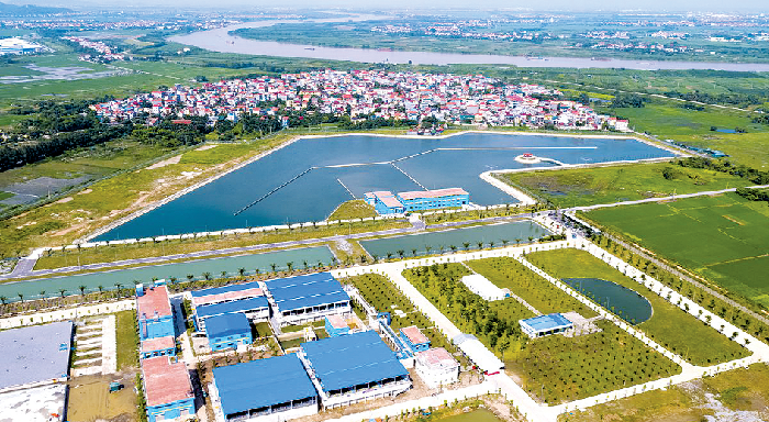 Hình ảnh 1