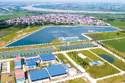 Điều chỉnh, bổ sung Kế hoạch sử dụng đất năm 2025 huyện Phú Xuyên, Mê Linh, Thường Tín và quận Long Biên
