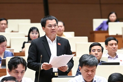 Nới lỏng quy định nhập quốc tịch để thu hút nhân tài, nguồn lực ở nước ngoài
