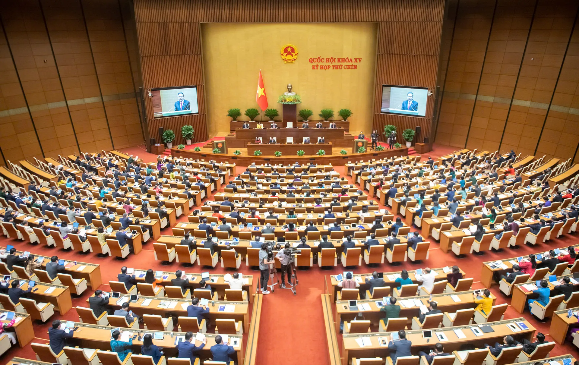 Hình ảnh 2