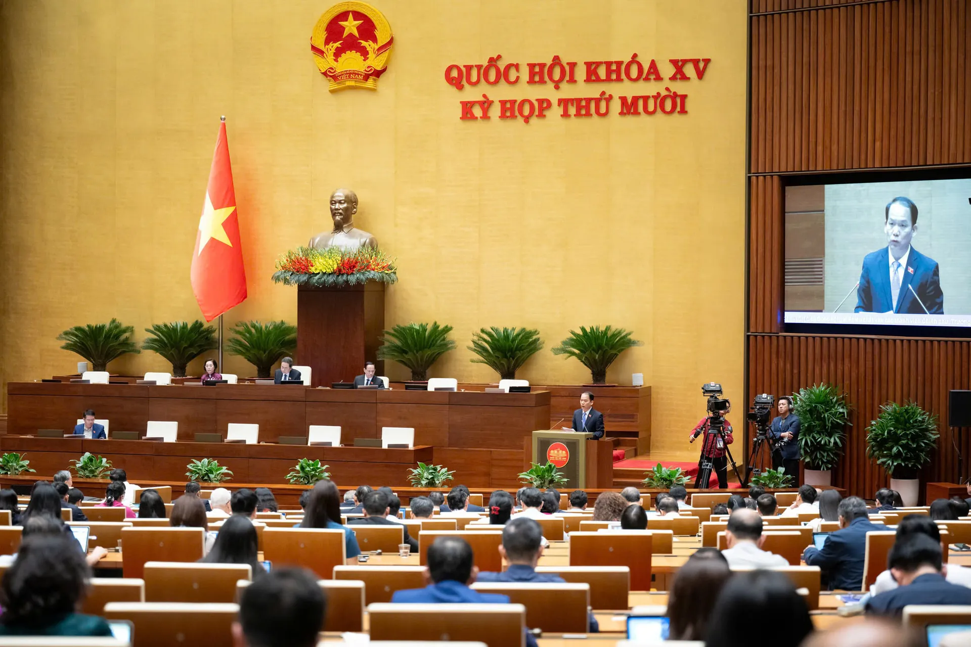 Hình ảnh 2
