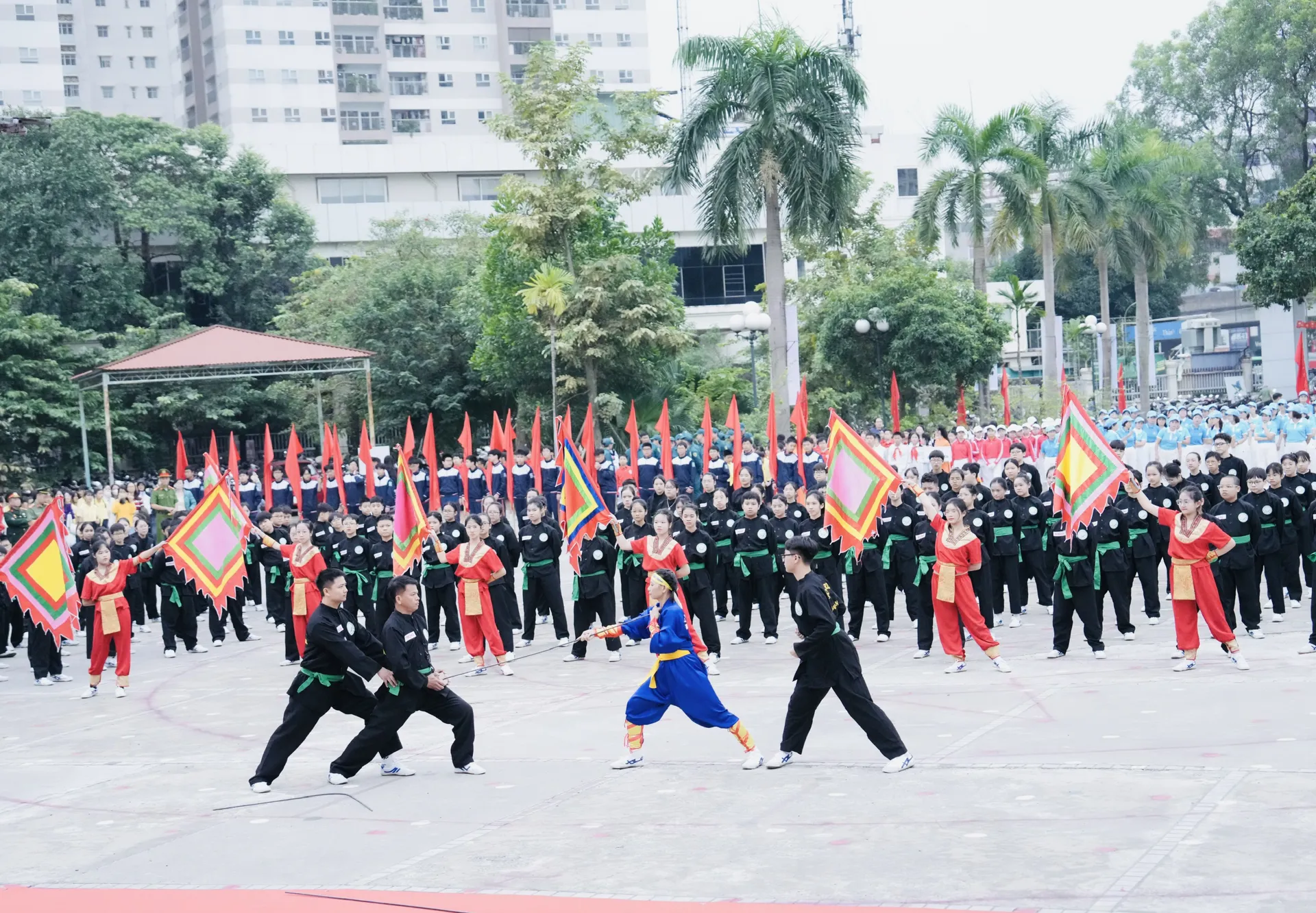 Hình ảnh 6
