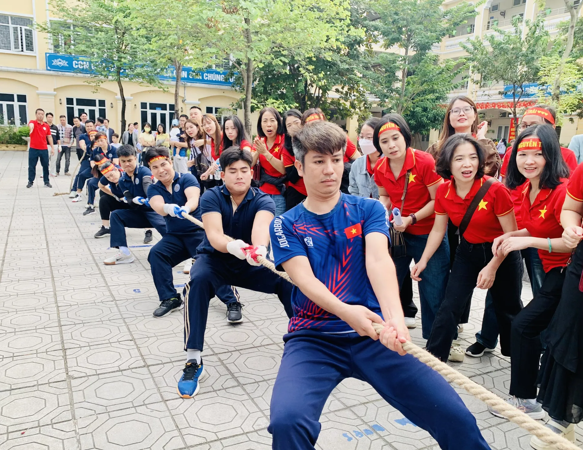Hình ảnh 10