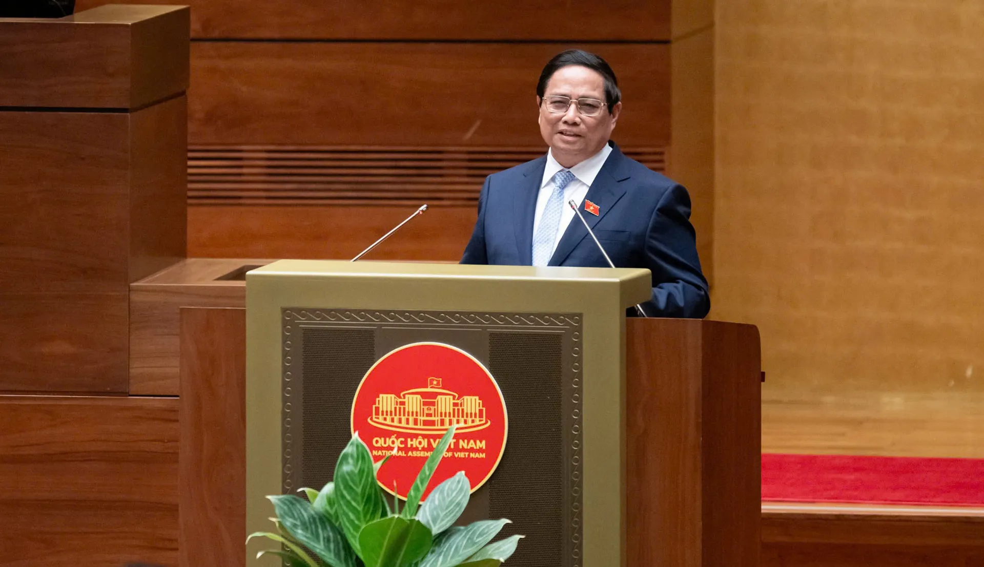Hình ảnh 2