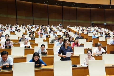 Đại biểu Quốc hội: chưa rõ hệ thống tiêu chí đánh giá thế nào là “đổi mới sáng tạo”
