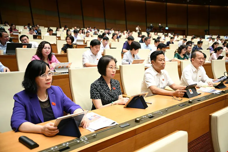 Hình ảnh 1