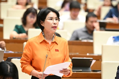 Đại biểu Quốc hội: hiện là “thời điểm vàng” cho kinh tế tư nhân phát triển
