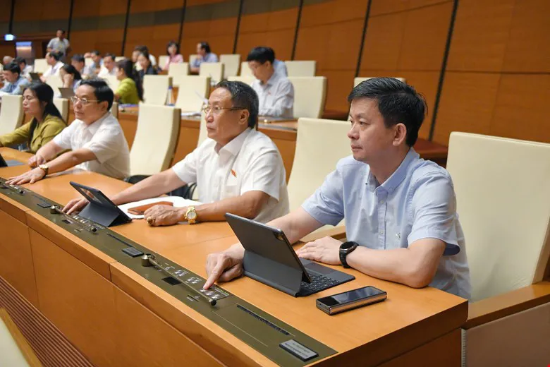 Hình ảnh 2
