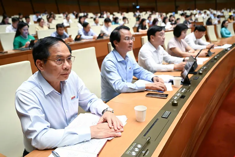 Hình ảnh 3