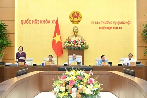 Đề xuất chú trọng quy định về tính liên thông trong giáo dục khi sửa đổi Luật