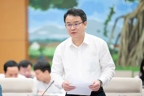 Sửa đổi quy định của Luật, xử lý mâu thuẫn giữa các quy hoạch
