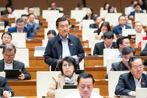 Đại biểu Quốc hội đề xuất cấm tuyệt đối với thuốc lá điện tử, thuốc lá nung nóng và khí N2O