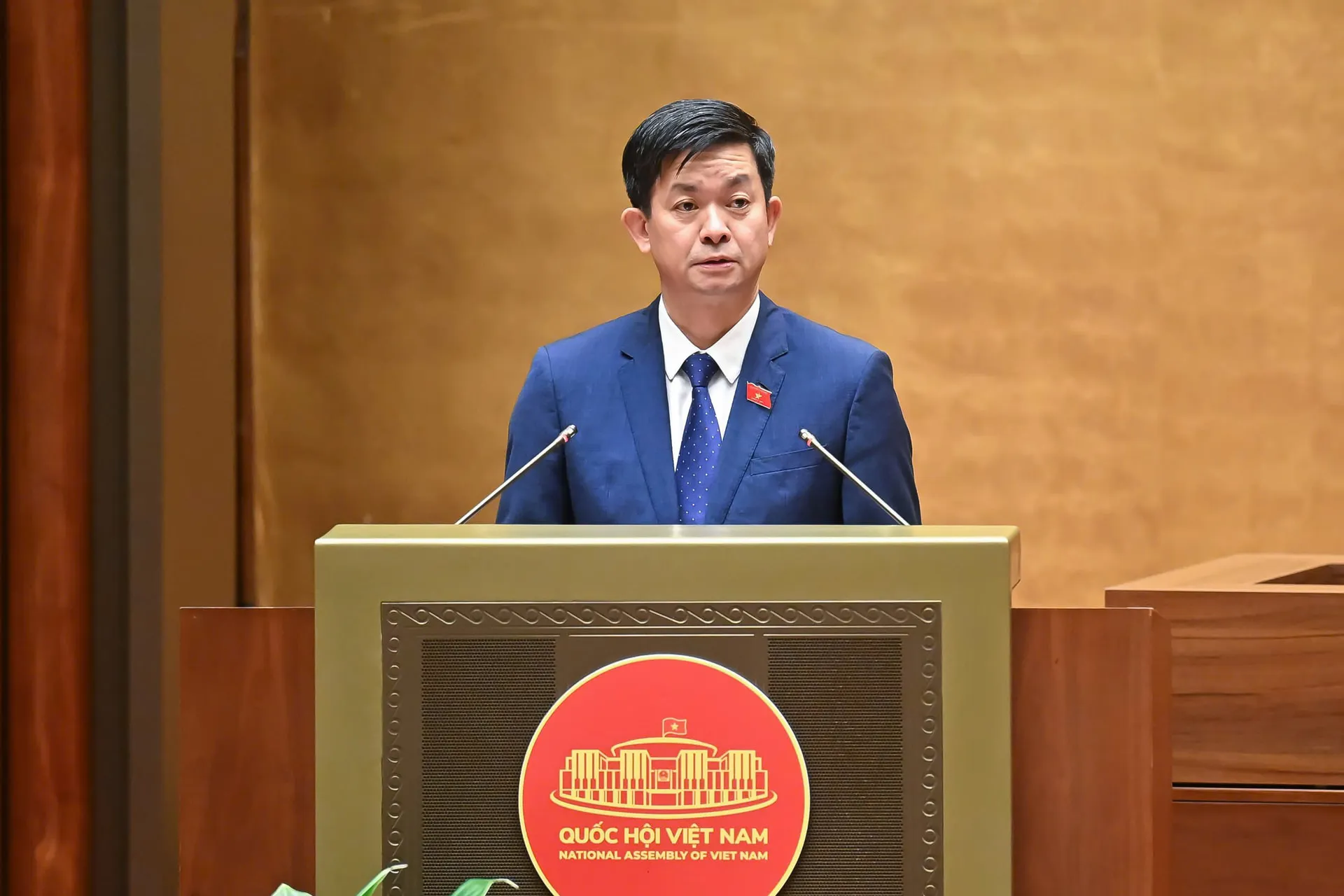 Hình ảnh 3