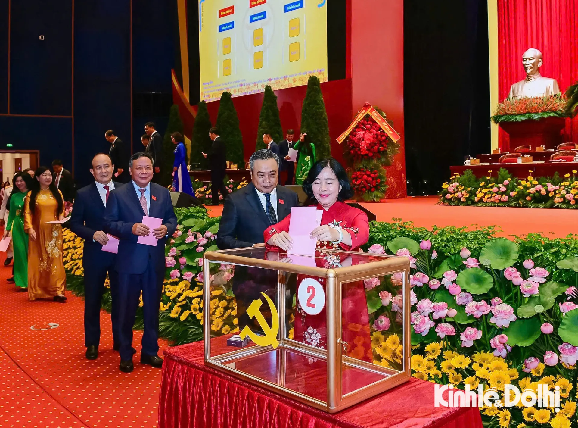 Hình ảnh 2