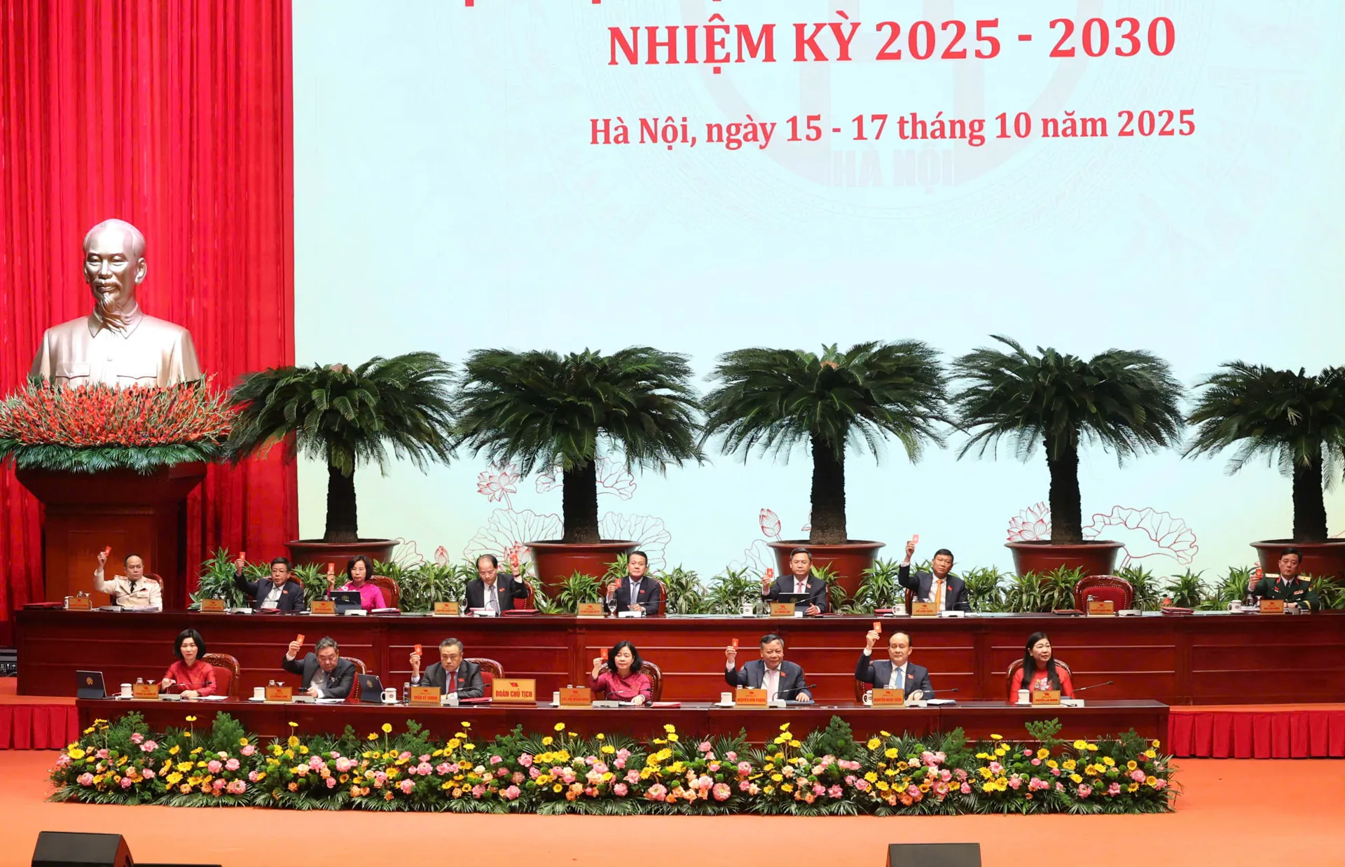Hình ảnh 7