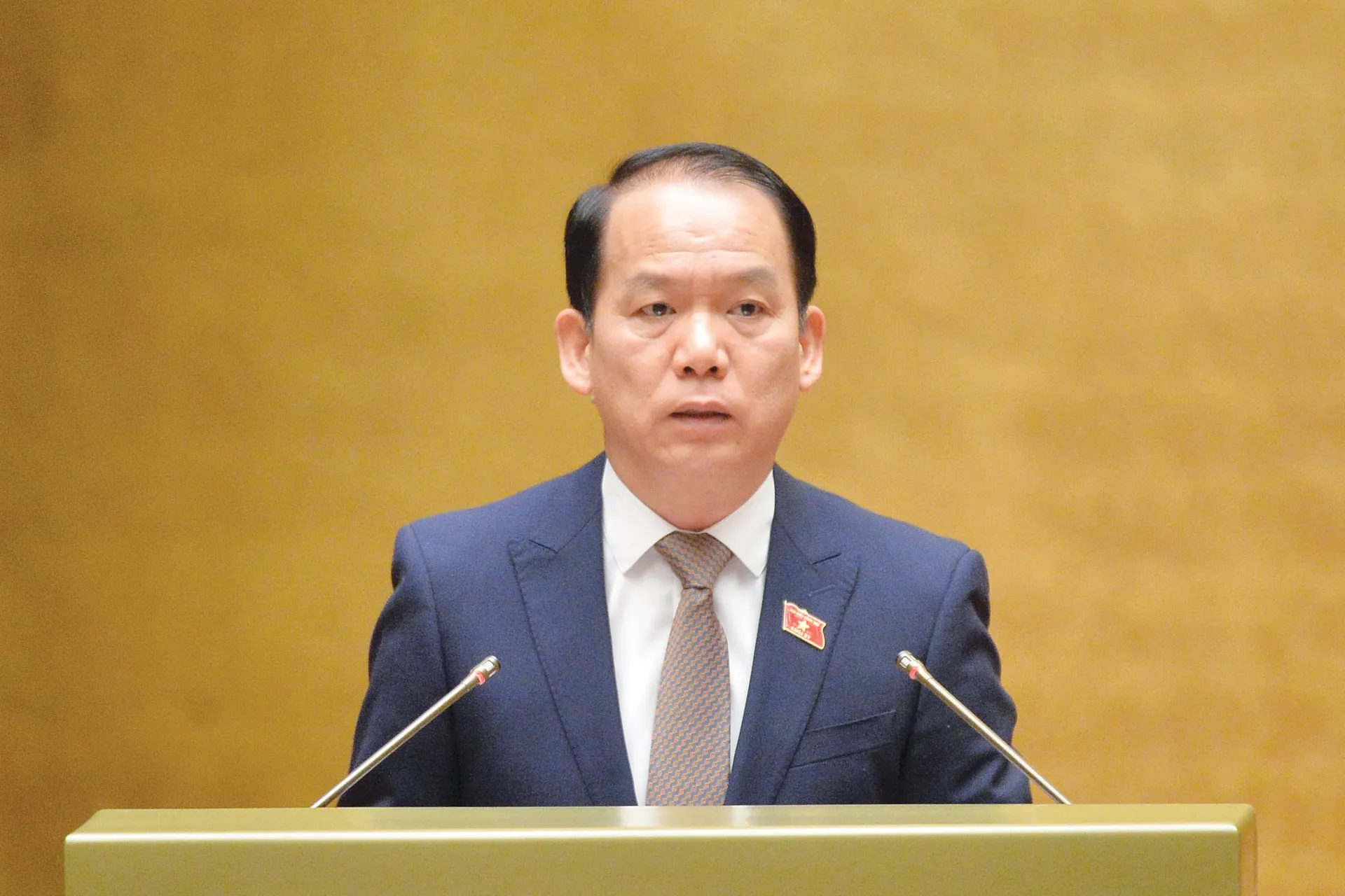 Hình ảnh 2