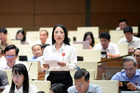ĐB Quốc hội: cần cấm lợi dụng nền tảng số để rao bán, quảng bá hóa chất nguy hiểm
