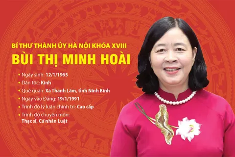 Tóm tắt tiểu sử Bí thư Thành ủy Hà Nội Bùi Thị Minh Hoài