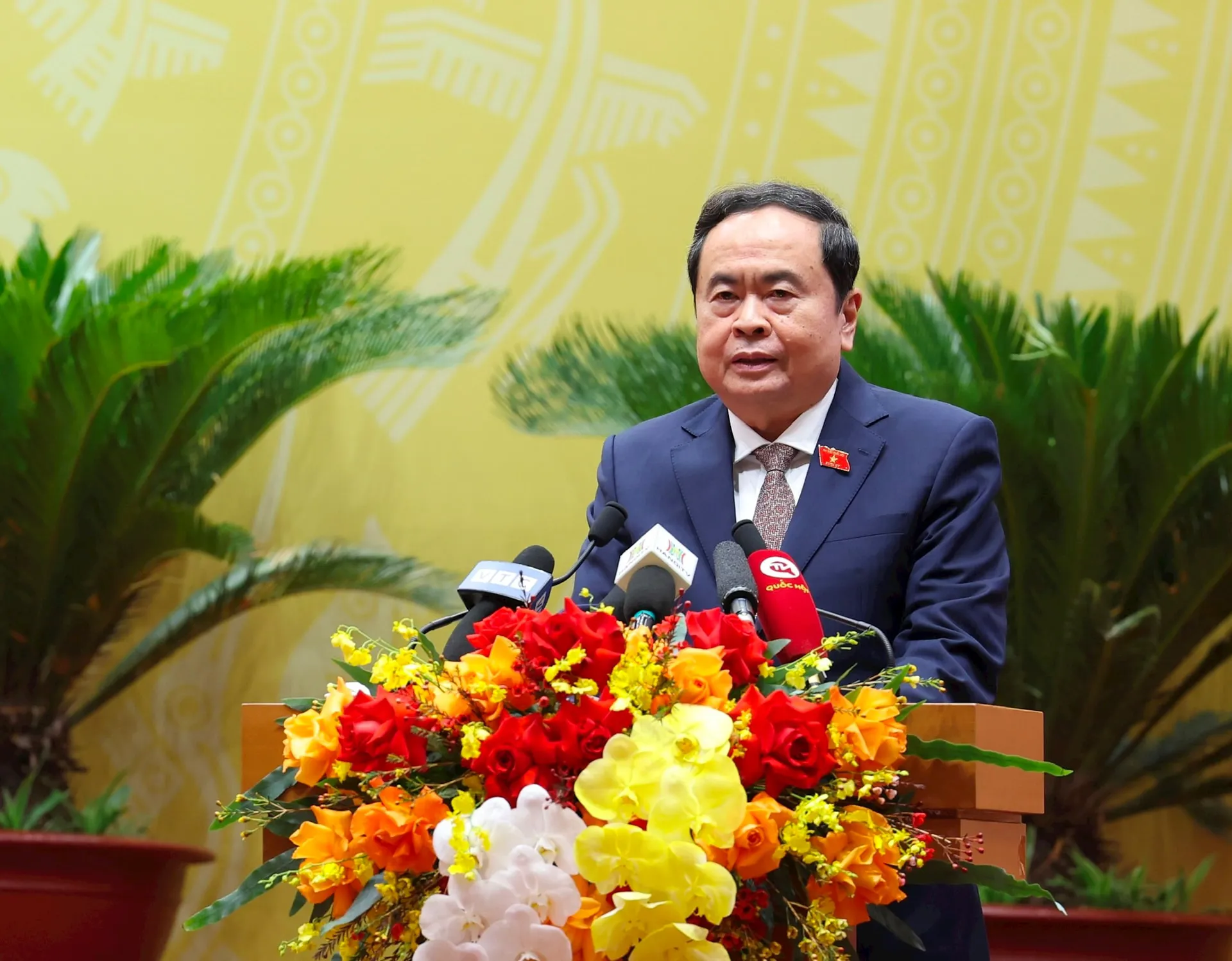Hình ảnh 5