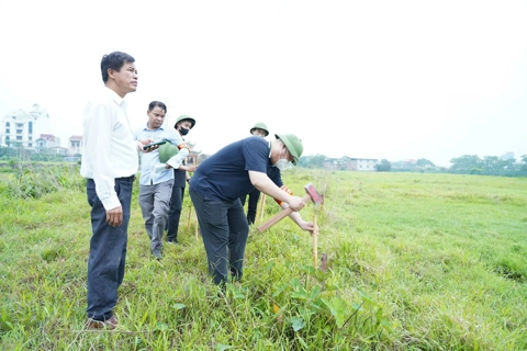Huyện Thường Tín tổ chức cưỡng chế kiểm đếm bắt buộc đất, tài sản trên đất tại xã Tiền Phong
