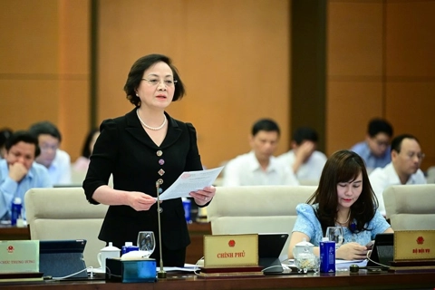 Chính phủ trình phương án sắp xếp 52 đơn vị hành chính cấp tỉnh để hình thành 23 đơn vị hành chính cấp tỉnh mới
