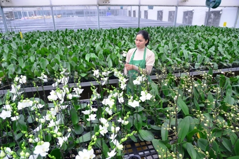 Tuyệt đối tránh tình trạng “phân cấp hình thức” trong nông nghiệp và môi trường
