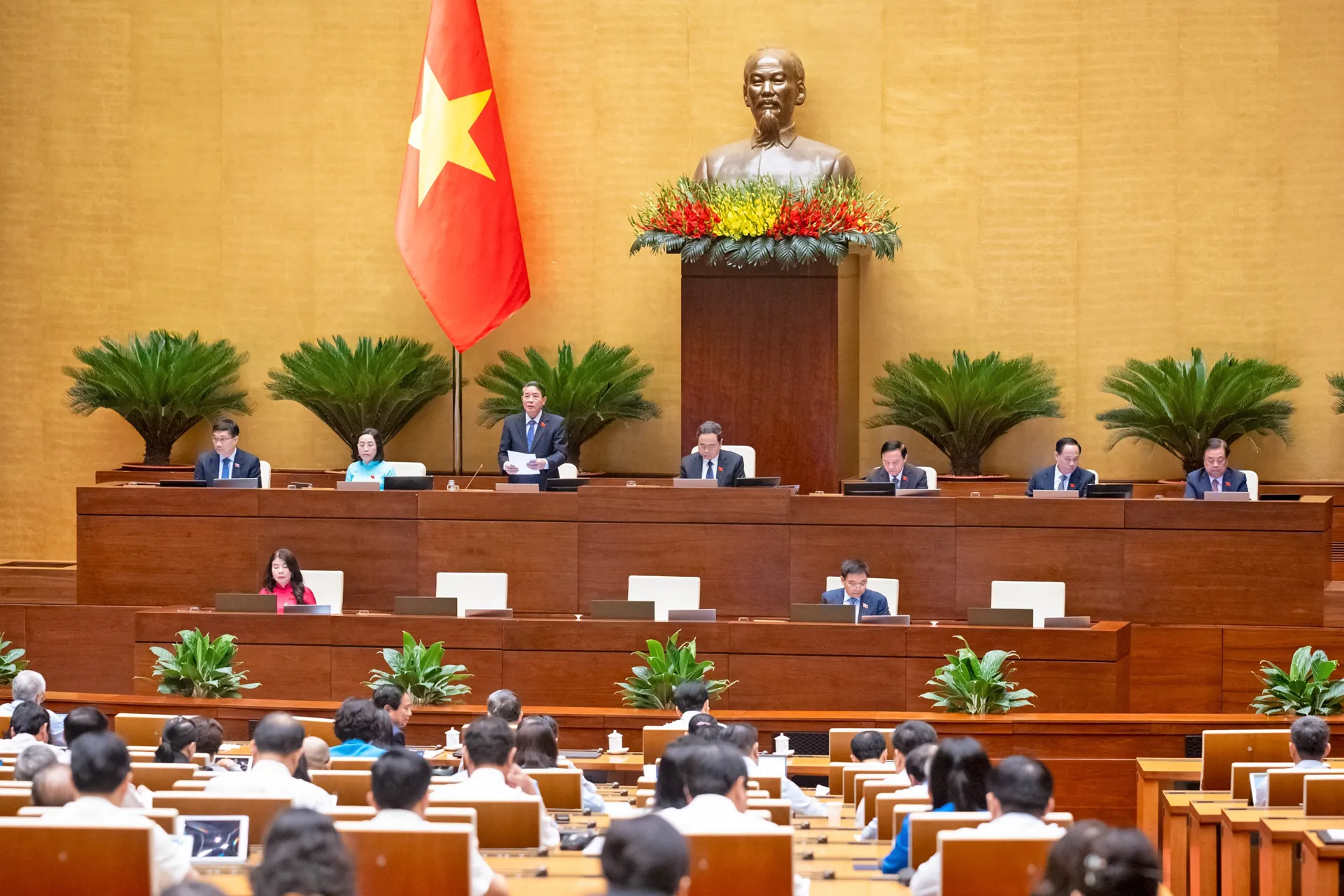 Hình ảnh 1
