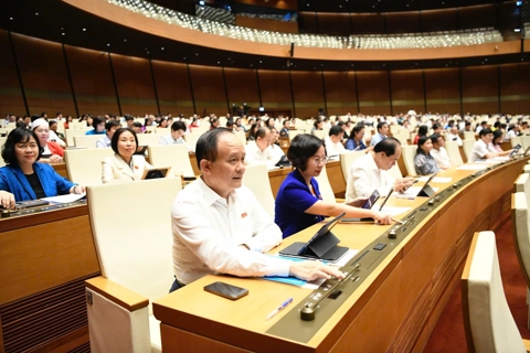 Quốc hội nhất trí rút ngắn thời gian thực hiện quy trình bầu cử