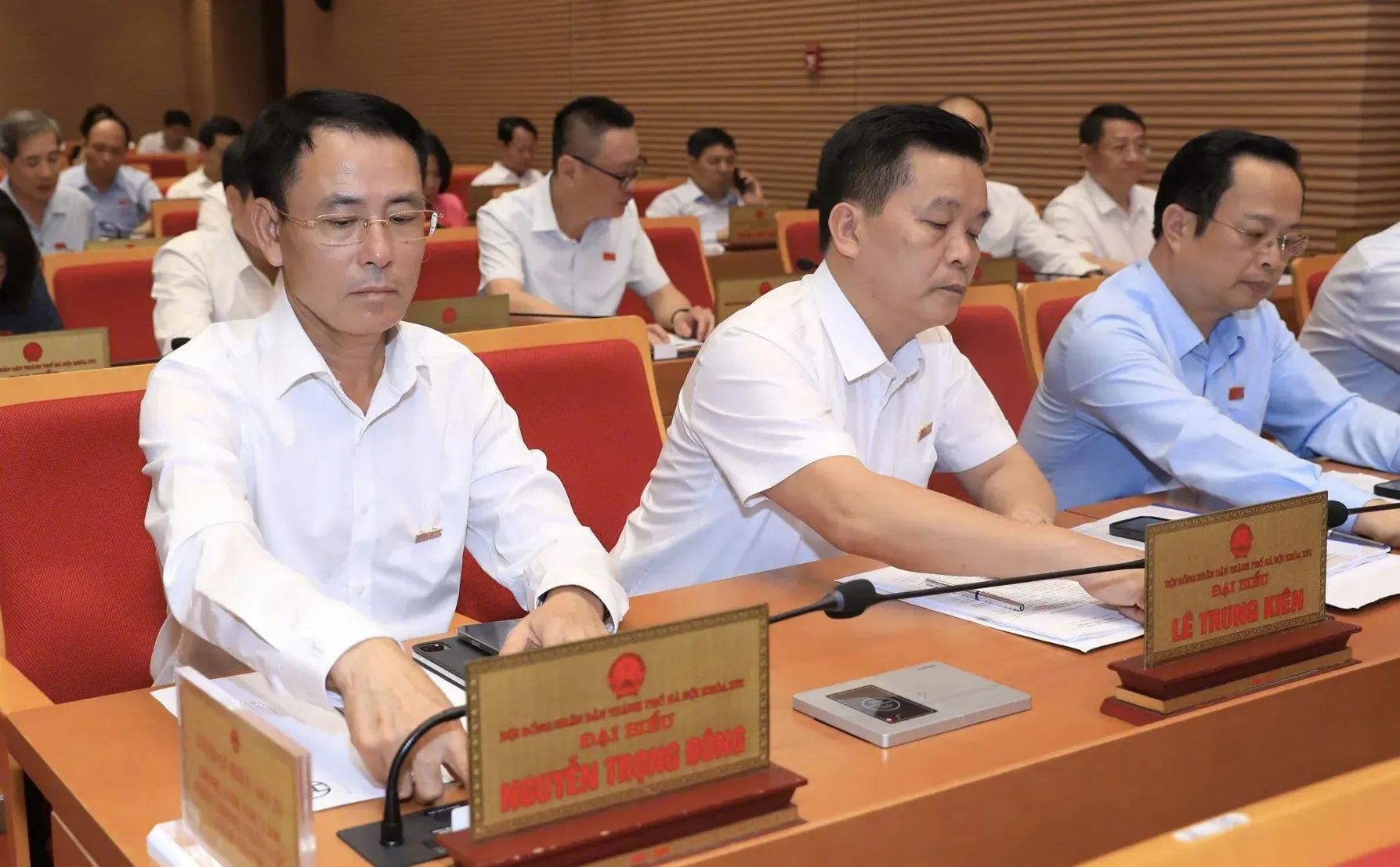 HĐND Thành phố Hà Nội thông qua chính sách hỗ trợ khôi phục sản xuất vùng bị thiệt hại do thiên tai, dịch hại thực vật