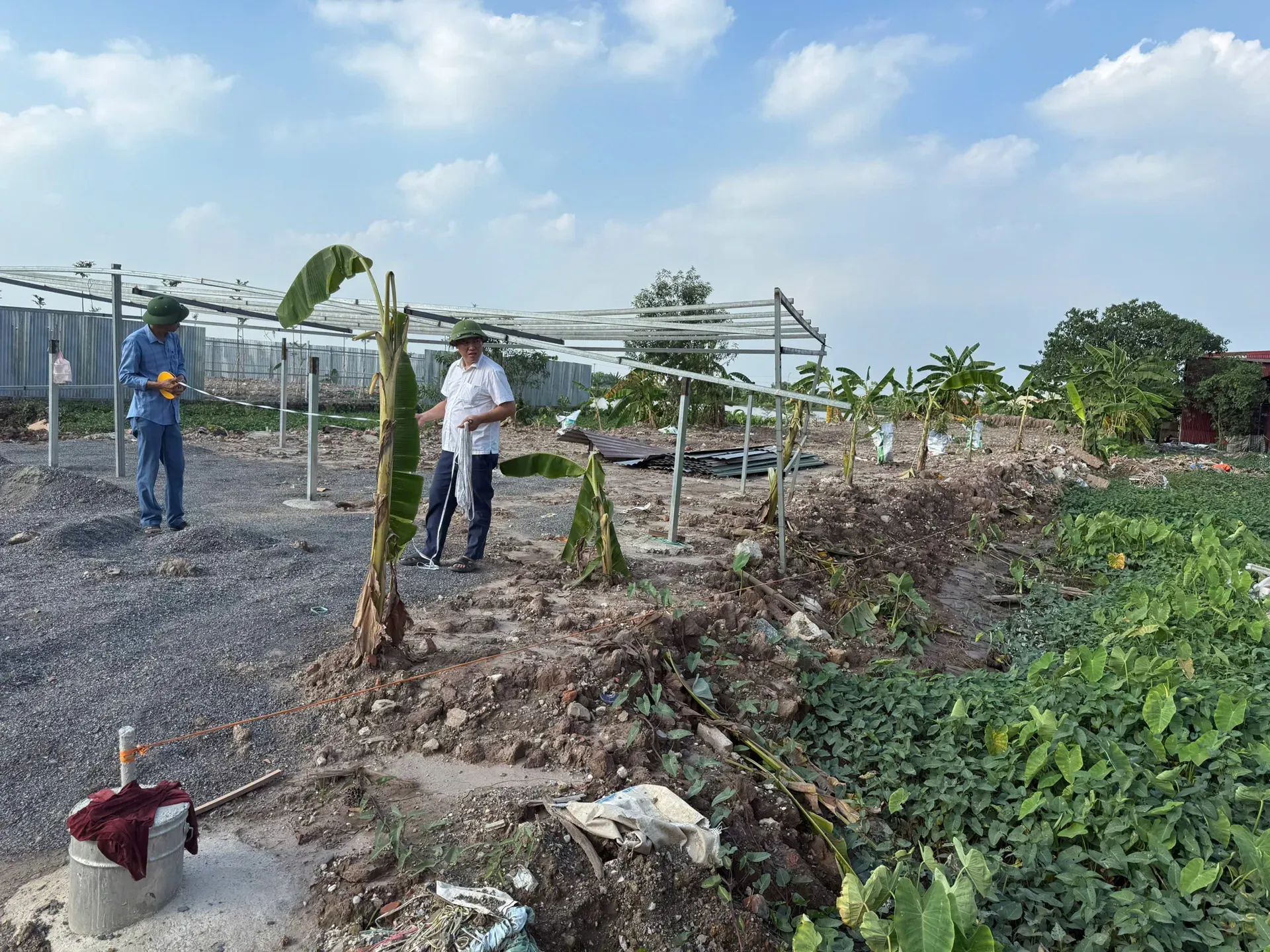 Xã Phượng Dực: tăng cường quản lý đất đai và phát triển thương mại điện tử