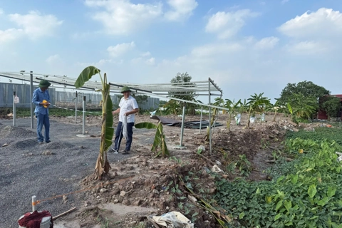 Xã Phượng Dực: tăng cường quản lý đất đai và phát triển thương mại điện tử
