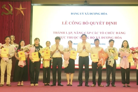 Xã Dương Hoà công bố quyết định thành lập, nâng cấp các tổ chức cơ sở Đảng
