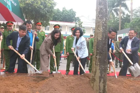 Hà Đông trồng cây xanh góp phần cải thiện cảnh quan môi trường