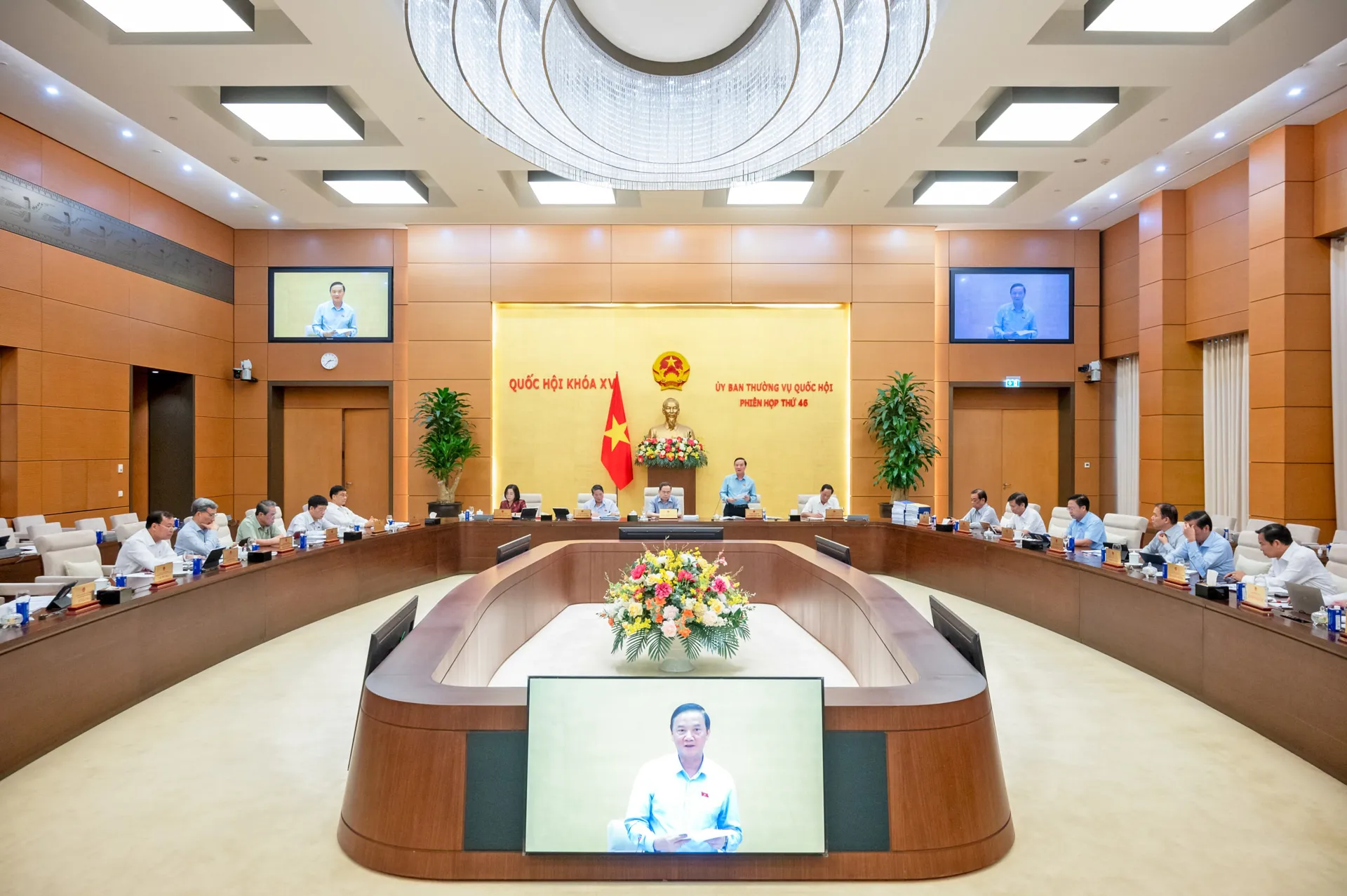 Hình ảnh 3