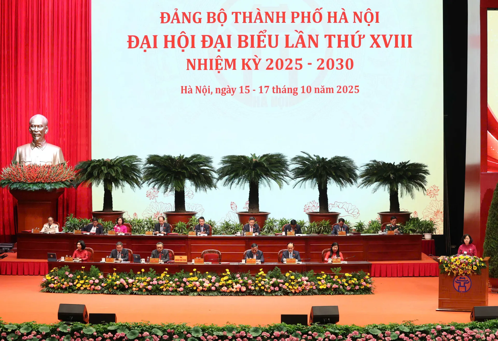 Hình ảnh 8