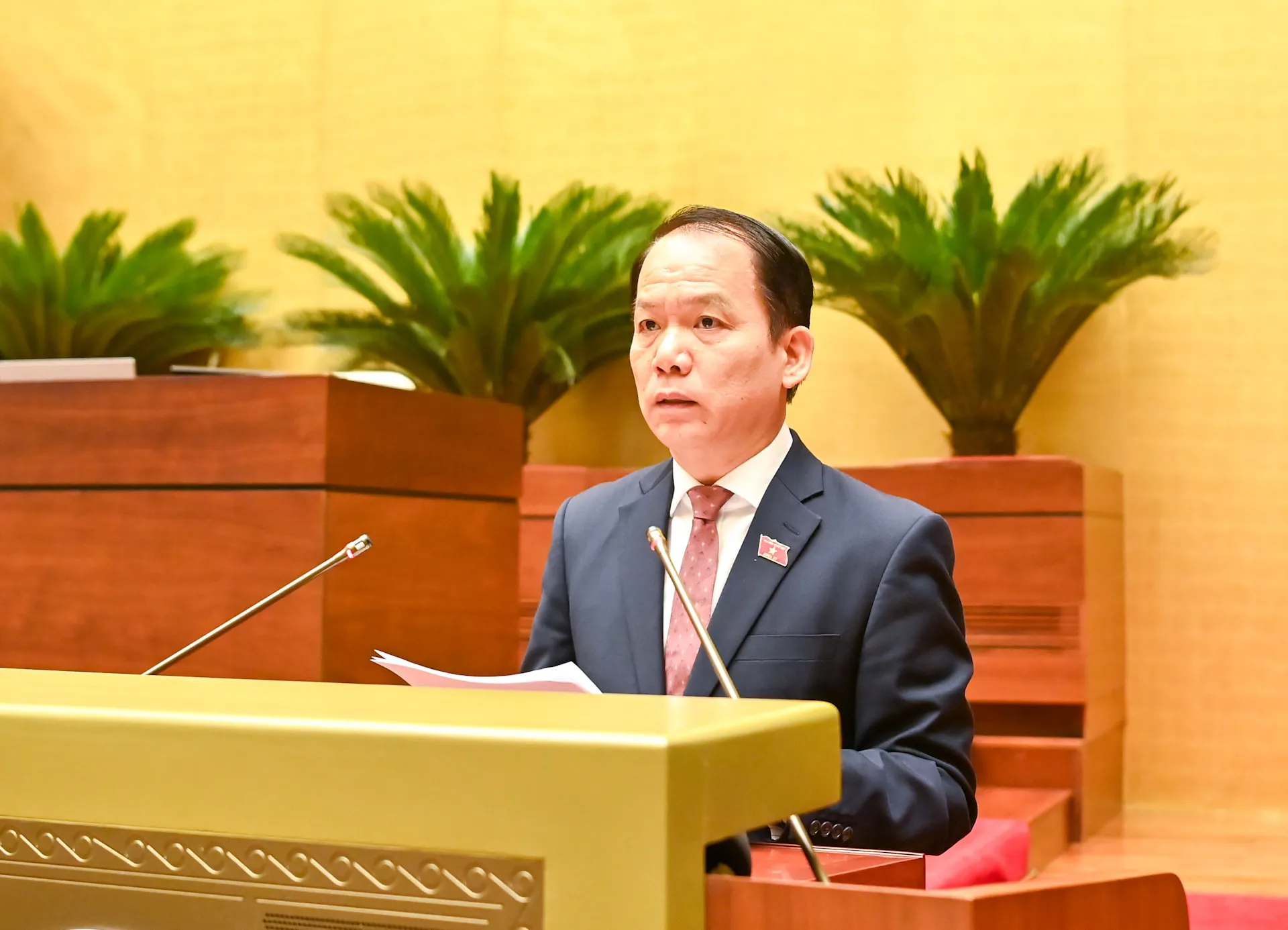 Hình ảnh 3