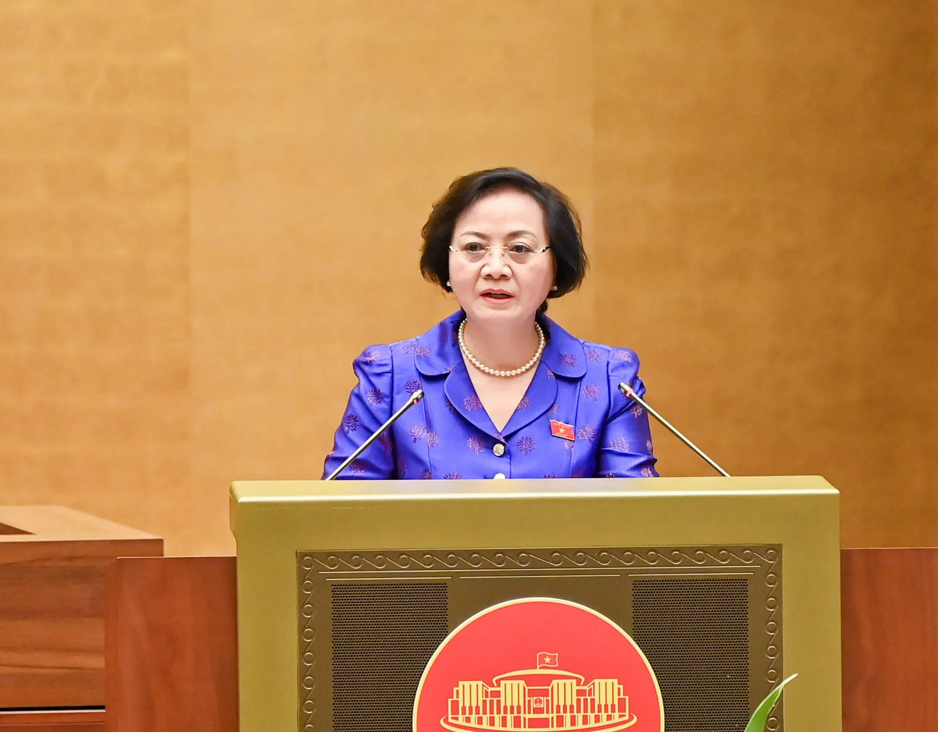 Hình ảnh 2
