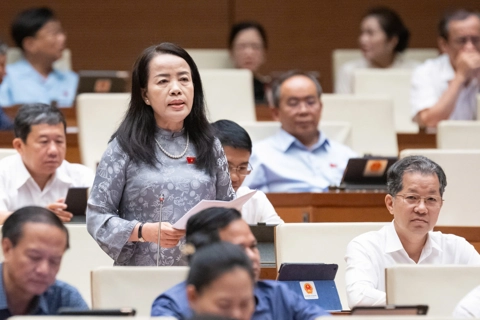 ĐB Quốc hội: nên giữ quy định về thẩm quyền chất vấn của đại biểu HĐND với Chánh án TAND, Viện trưởng VKSND trong Hiến pháp
