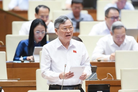 Đại biểu Quốc hội: cần quyết sách phòng, chống “hàng giả, hàng nhái” mạnh mẽ hơn