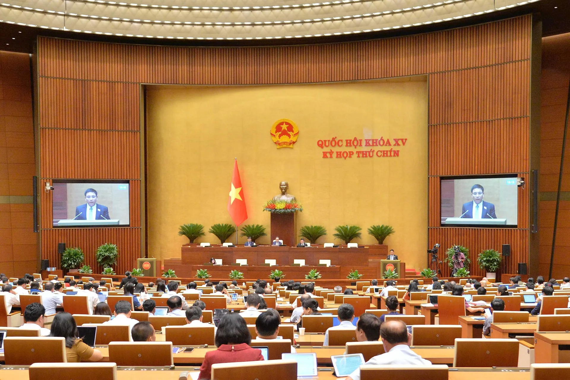 Hình ảnh 1