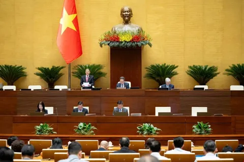 Đại biểu Quốc hội lo ngại trước thực trạng người nổi tiếng livestream bán hàng kém chất lượng