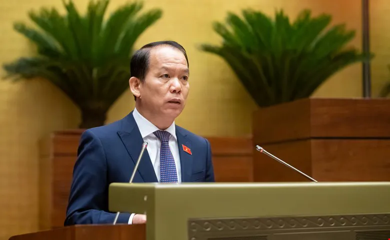 Hình ảnh 2
