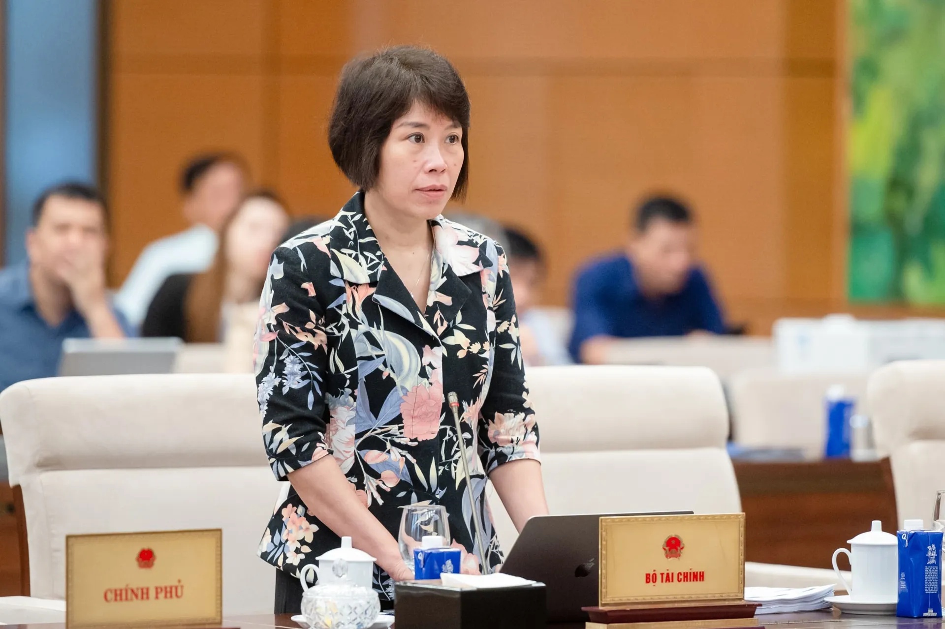 Hình ảnh 2