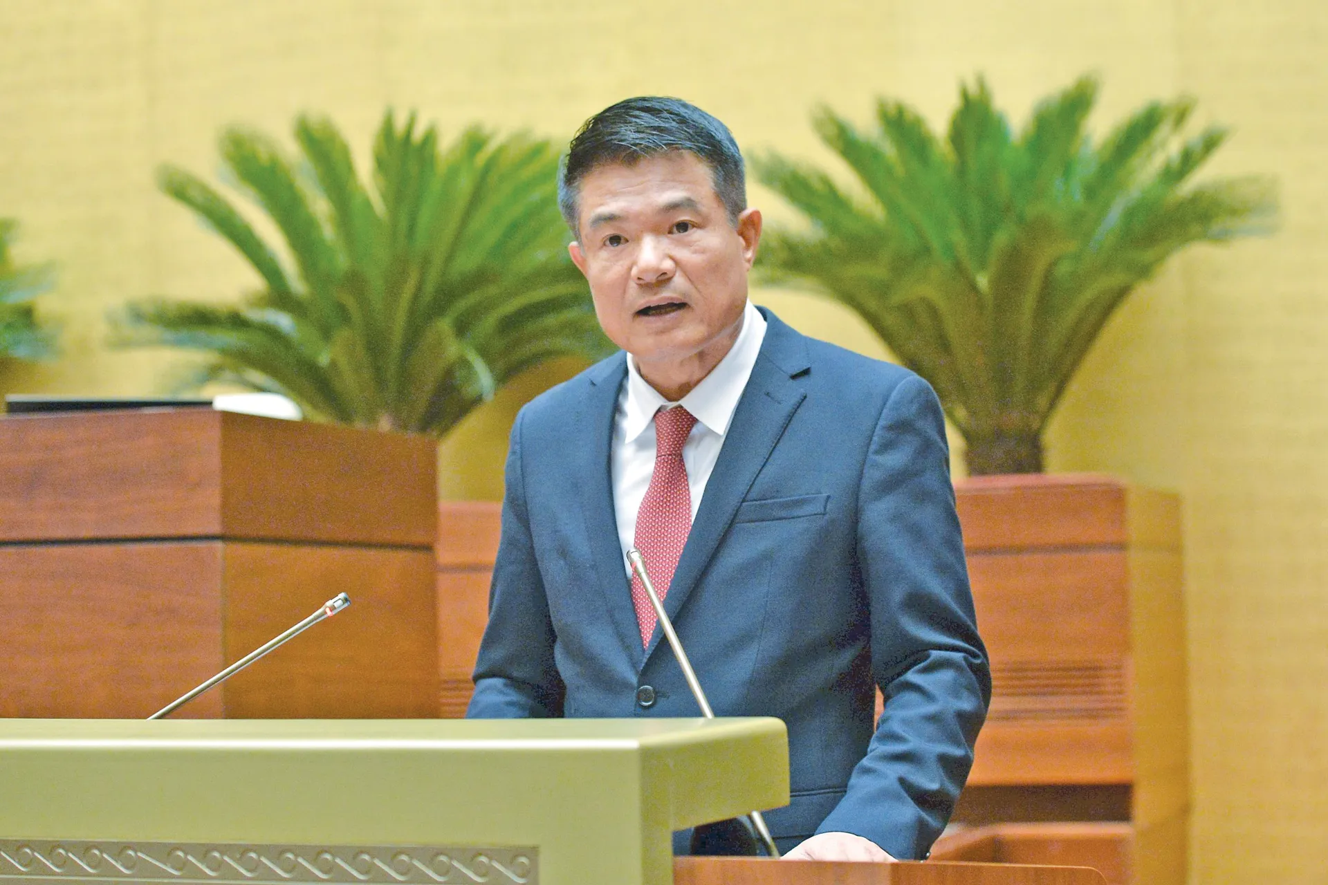 Hình ảnh 2